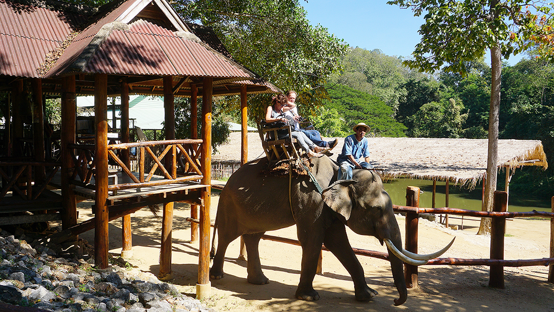 ศูนย์กิจกรรมช้างไทยเพื่อการอนุรักษ์ เช่ารถขับเอง