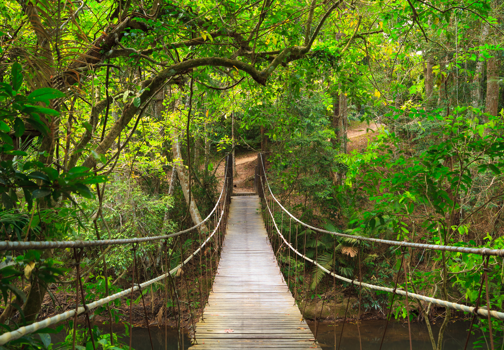 อุทยานแห่งชาติเขาใหญ่ เช่ารถขับเอง