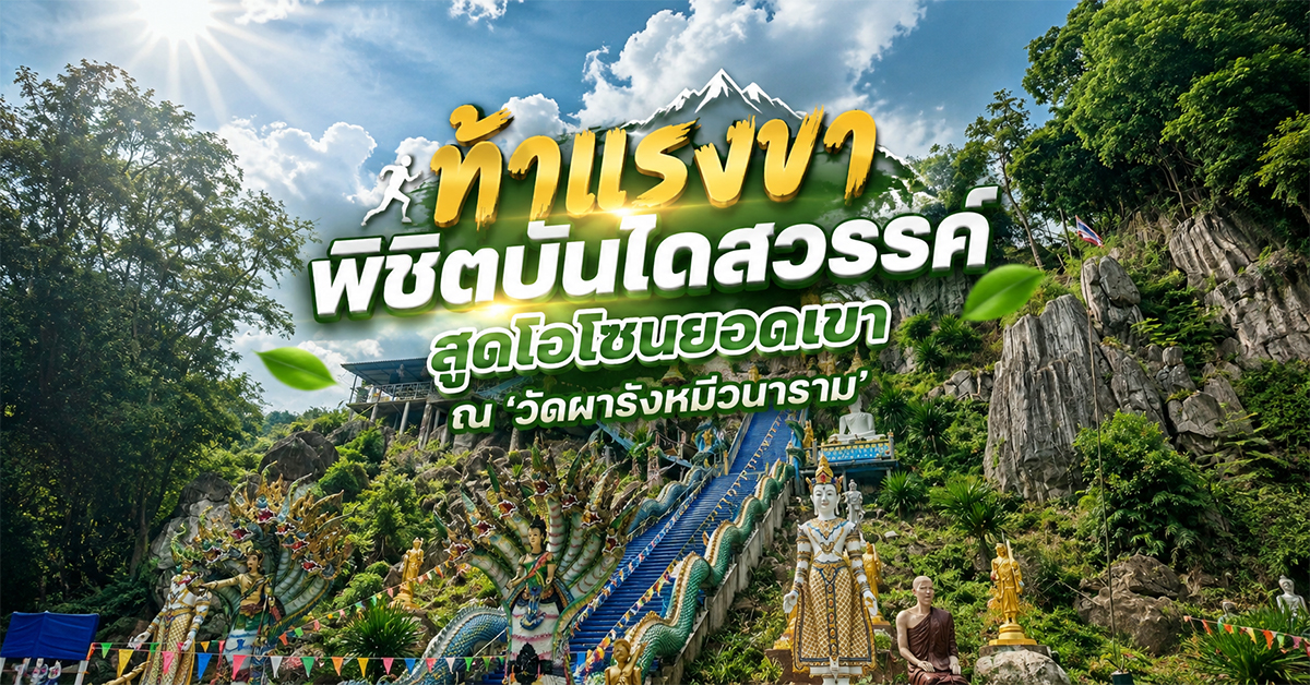 ท้าแรงขาพิชิตบันไดสวรรค์สูดโอโซนยอดเขา ณ ‘วัดผารังหมีวนาราม’