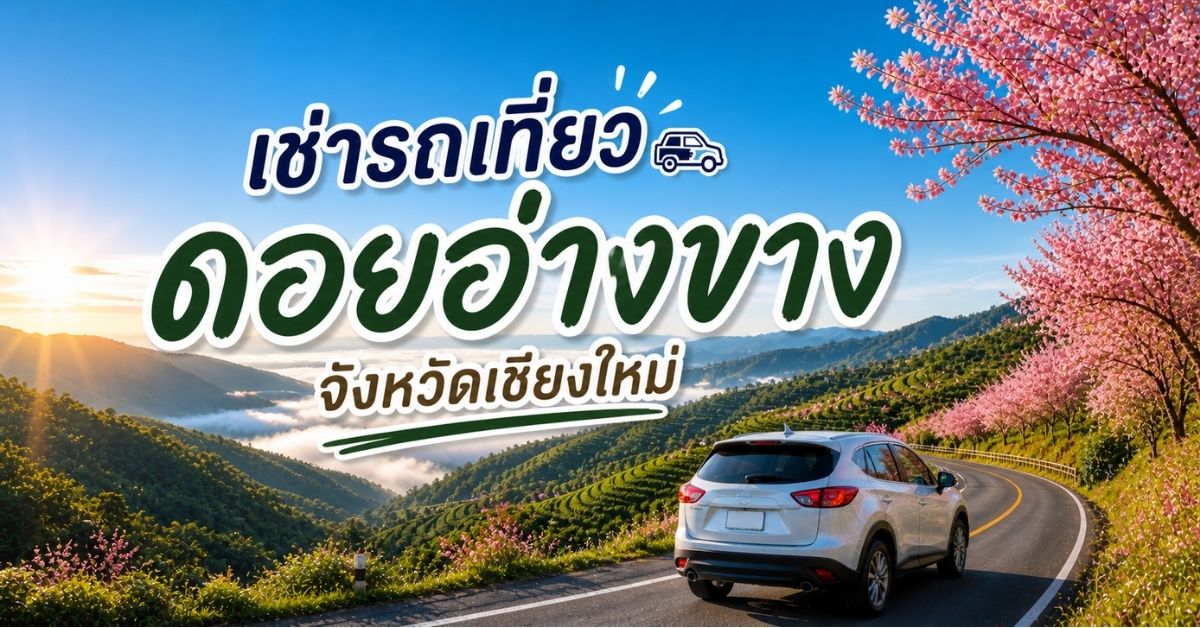 เช่ารถเที่ยว ดอยอ่างขาง