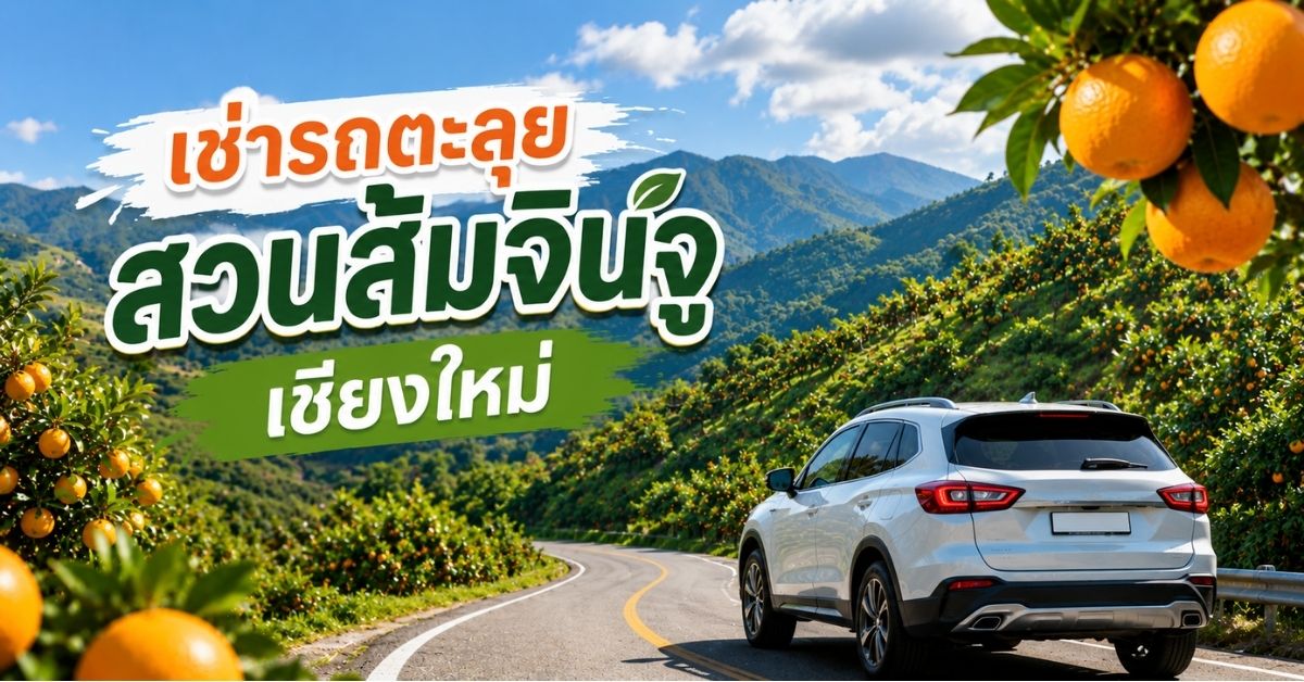 สวนส้มจินจู
