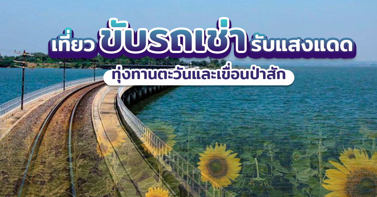 เที่ยวขับรถเช่ารับแสงแดด