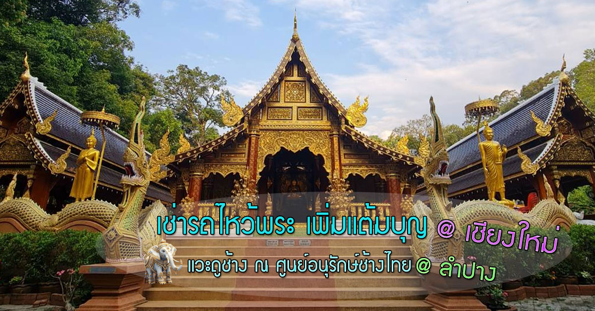 เช่ารถดอนเมือง เพิ่มแต้มบุญ อิน เชียงใหม่ พร้อมดูช้างที่ ลำปาง