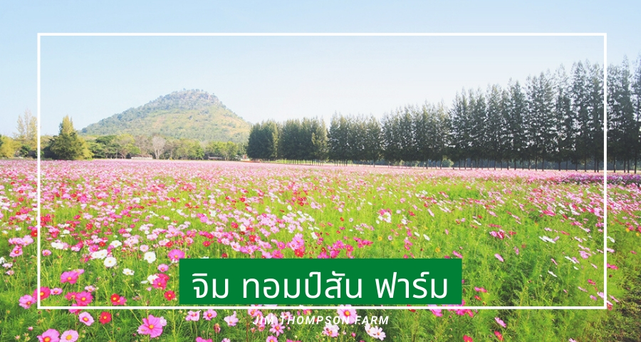 จิม ทอมป์สัน ฟาร์ม (Jim Thompson Farm)