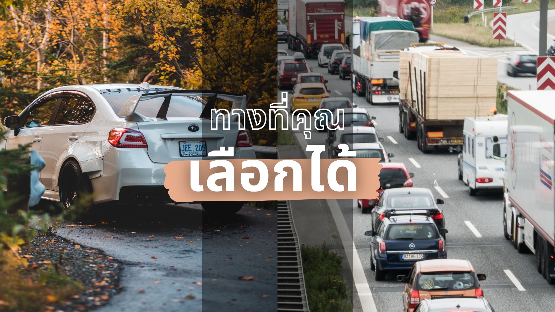 ทางที่คุณเลือกได้